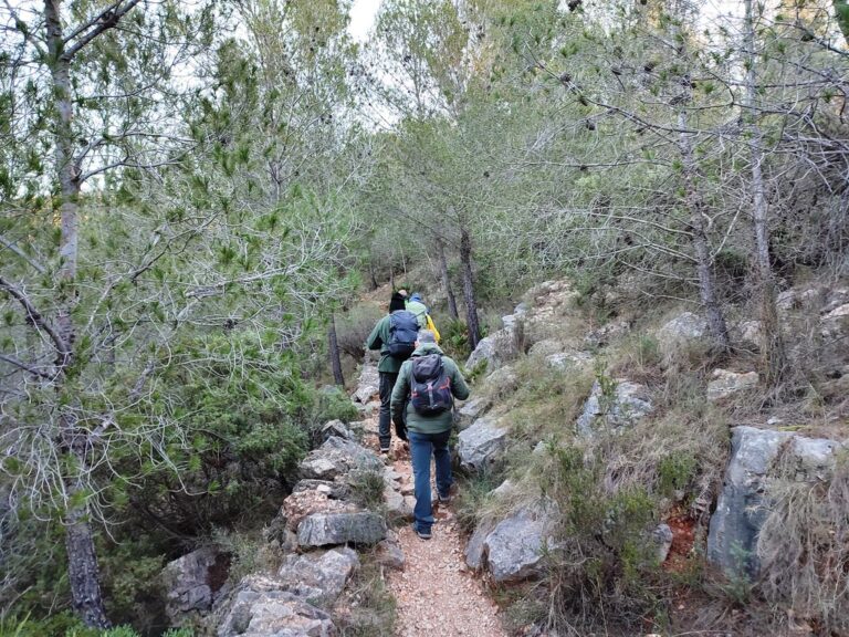 Collado, Alpuente
