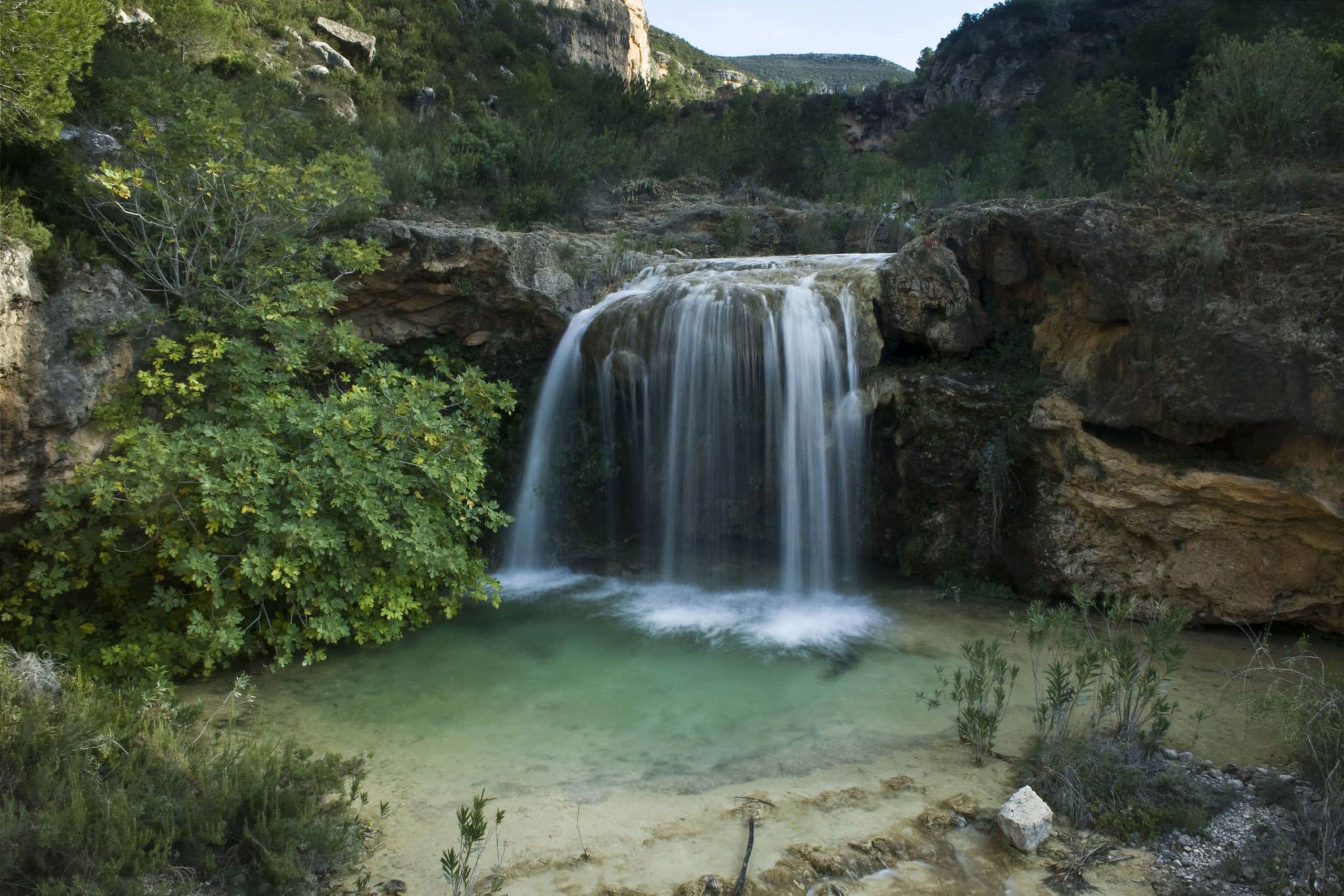 Cortes de Pallas