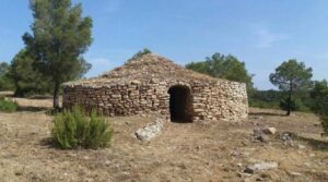 Cucos-