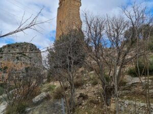 El Mirador de la Pileta cortes del pallas