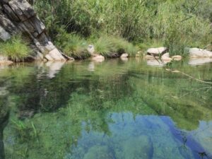 El Pozo Vidal en Argelita, Castellón