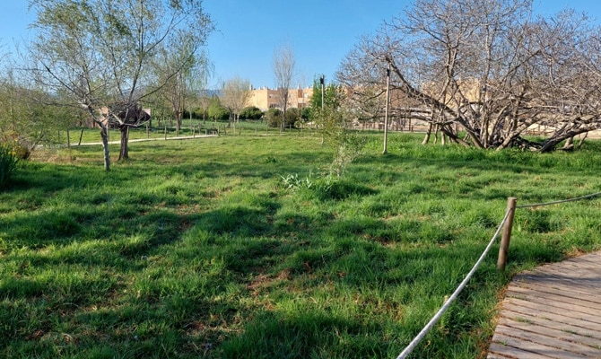 El Ullal del Bovetar en Guardamar de la Safor, Valencia