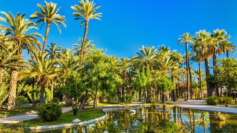 El-palmeral-de-Elche