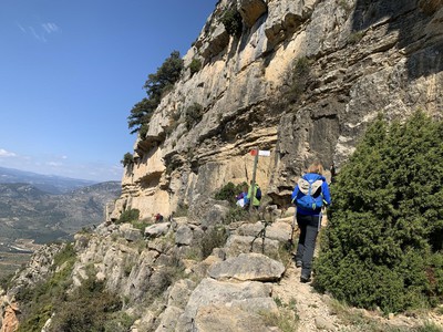 Els Rosildos, Castellon