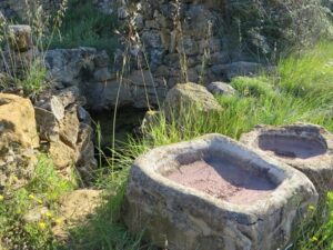 Els Ibarsos, Castellon