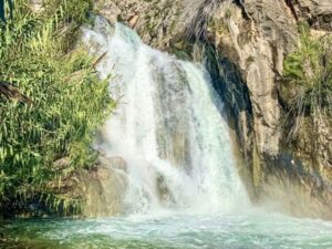 la Font dels Xorros o font de la renyinyosa en Bolulla, Alicante