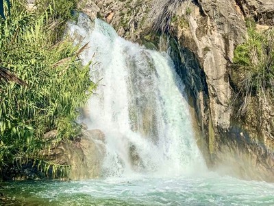 la Font dels Xorros o font de la renyinyosa en Bolulla, Alicante
