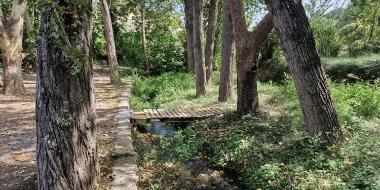 Fuente-los-Nogales-Benafer-