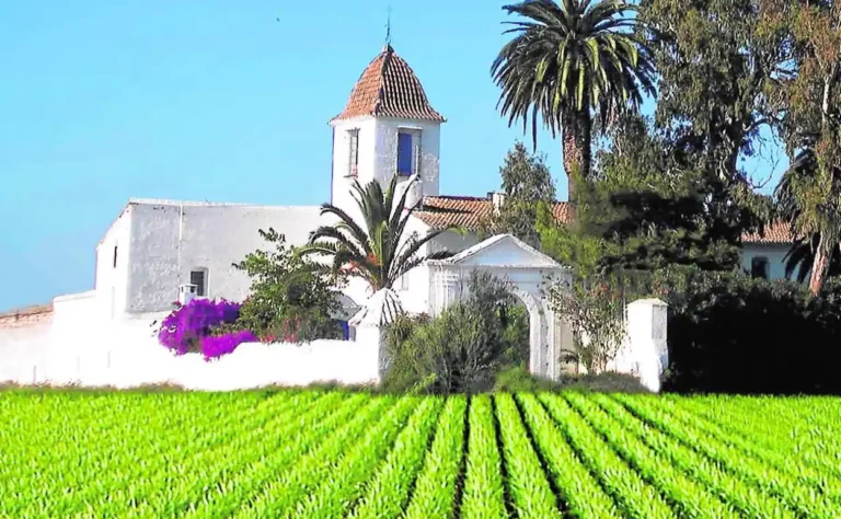 Huerta-Valenciana-1jpg