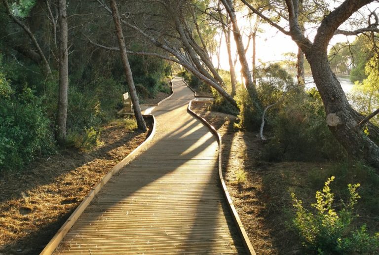 Itinerarios-del-parque-natural-de-la-Devesa-Albufera