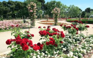Jardines-Valencia