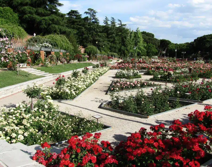 Jardines-parque-del-oeste