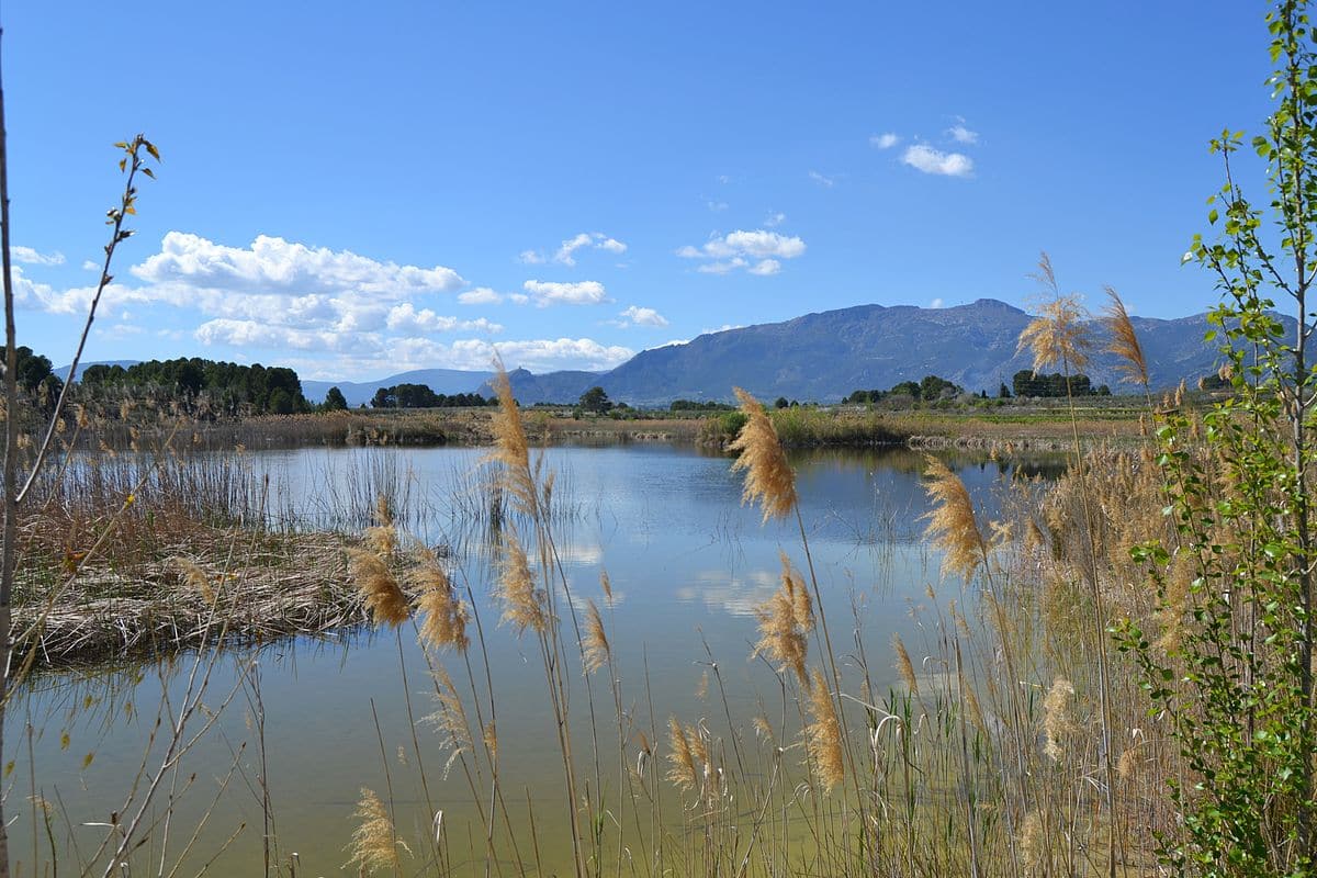 La Albufera de Gaianes en Alicante