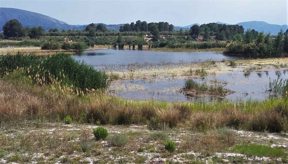 La Albufera de Gaianes en Alicante