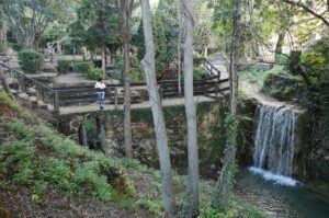 La-Floresta-Viver-1