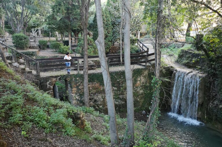La-Floresta-Viver-1