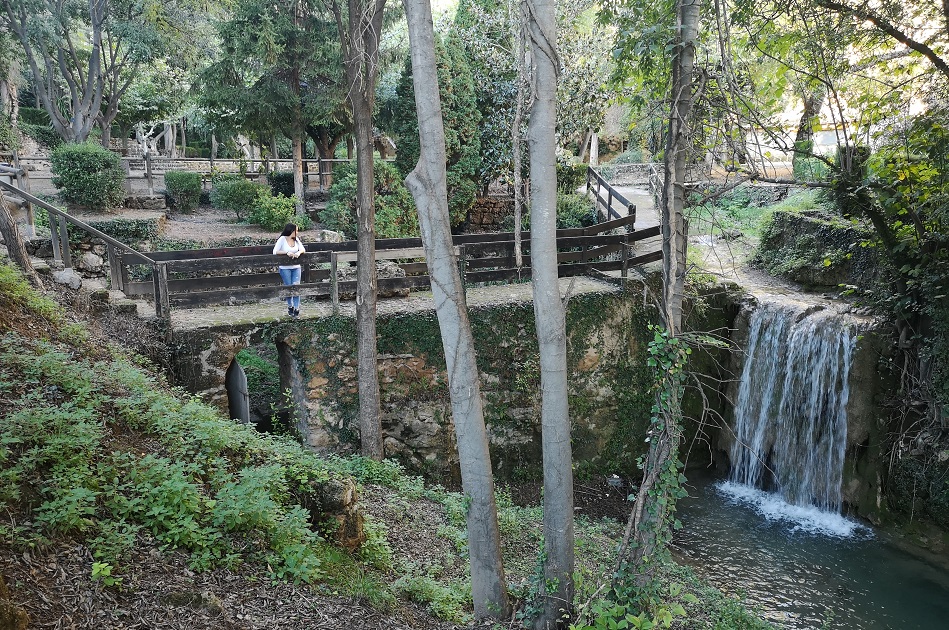 La-Floresta-Viver-1