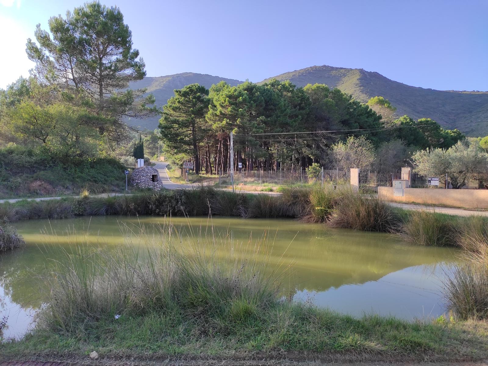 La Llacuna de Villalonga en Valencia