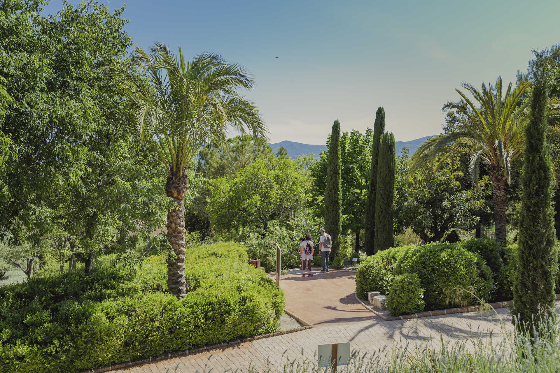 Laberinto de la Casa Tápena