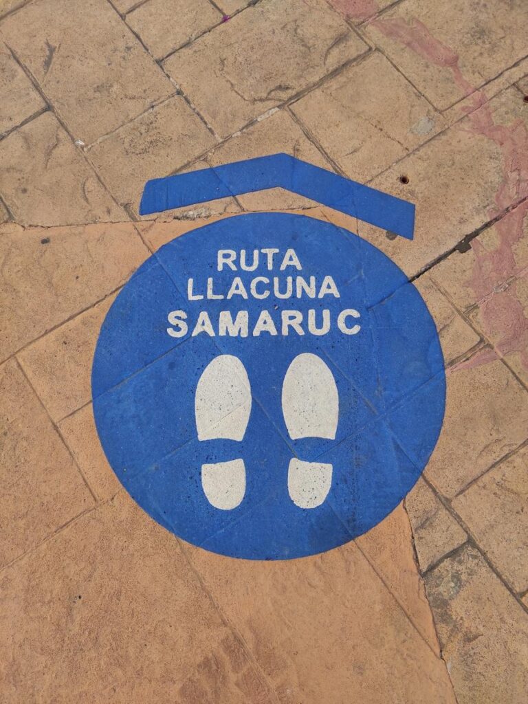 Llacuna-del-Samaruc-de-Algemesí-2