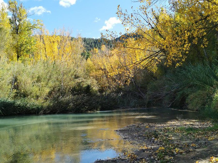 Los Chopos de Jalance