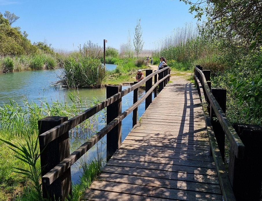 Marjal-Pego-Oliva -1