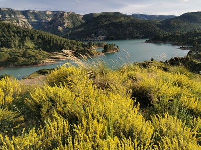 Mirador de la Peña Perico y los Campos Silvestres de Albaidas