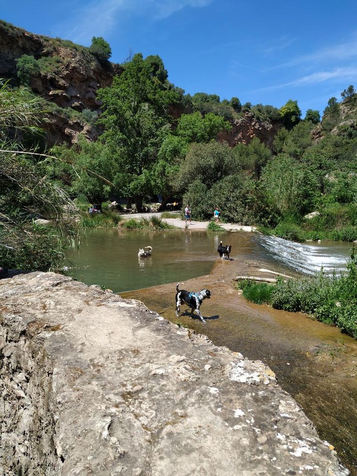 Fuente del Baño de navajas