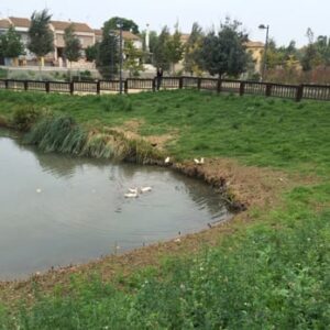 Parc la Palanqueta en Canals, Valencia