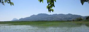 Pego i Les Valls en Alicante