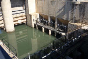 Ruta-del-agua-Quart-de-Poblet-5