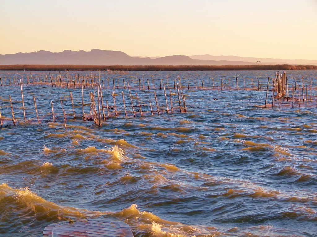 Sueca lago albufera