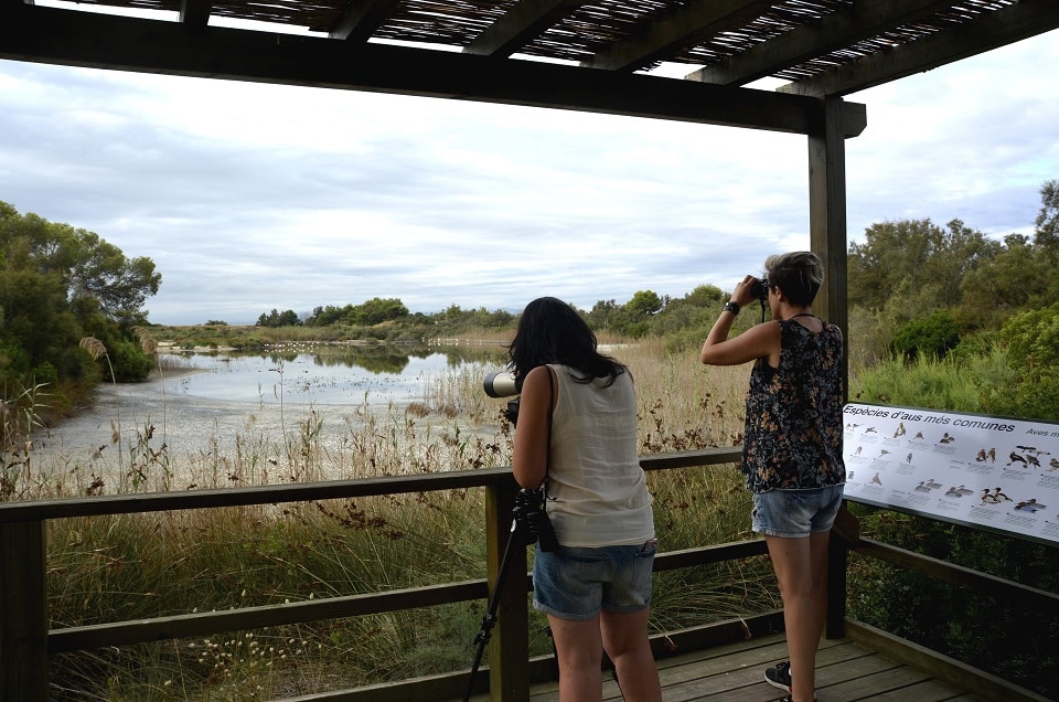 Tancat-de-la-Pipa-Albufera-4