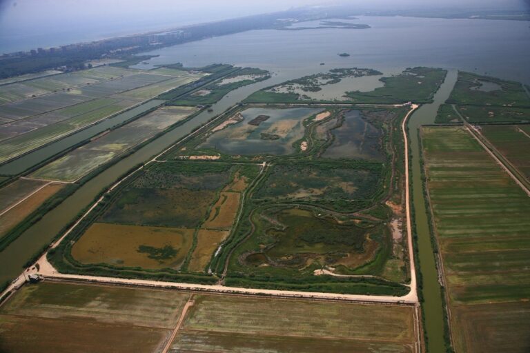 Tancat-de-la-Pipa-Albufera