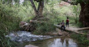 The-most-beautiful-hiking-routes-in-the-Region-of-Valencia-gateways-and--experiences