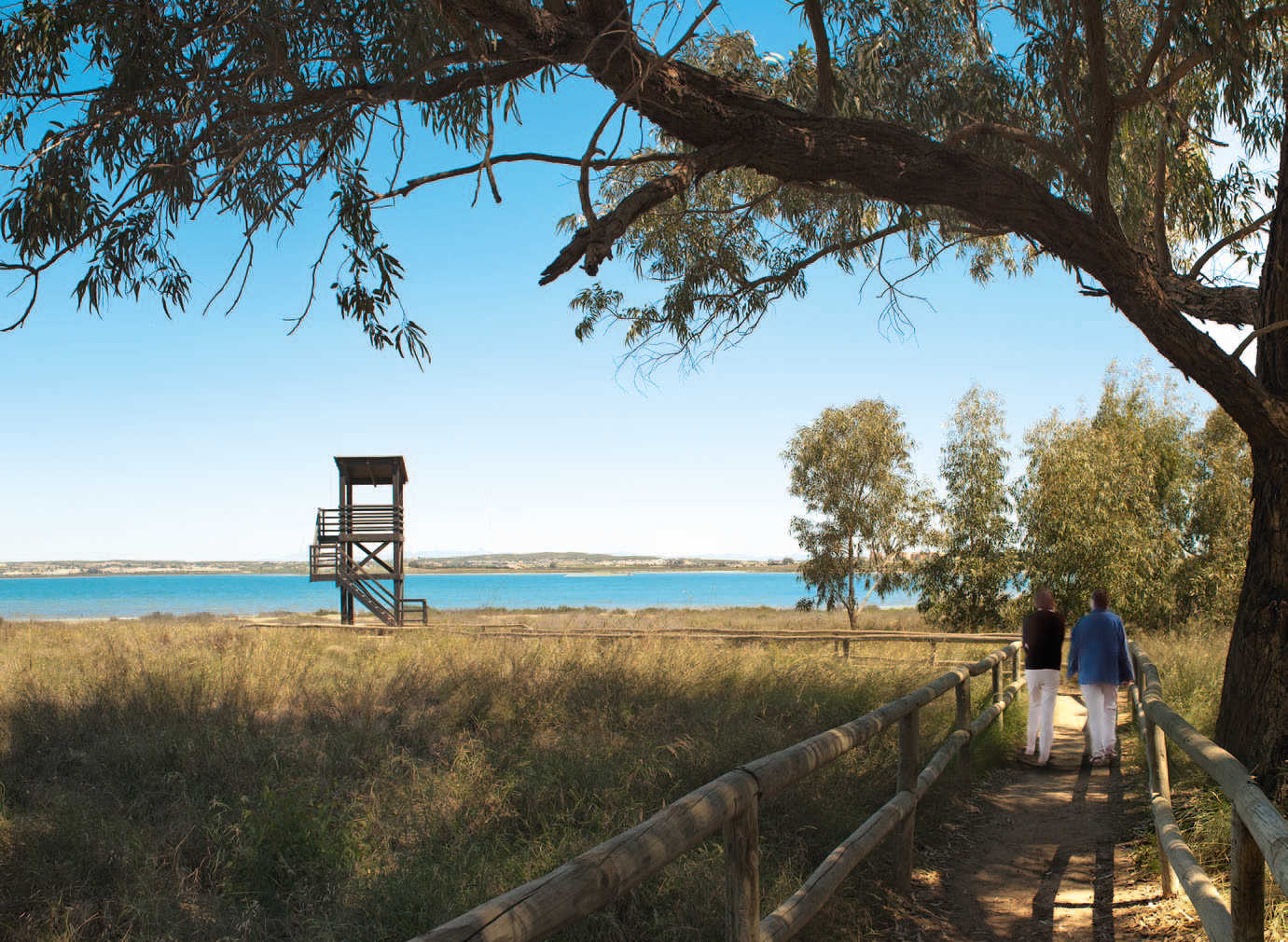 Torrevieja-parquenatural