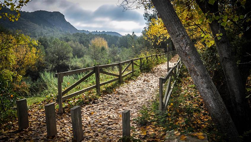 Xativa-cova-negra