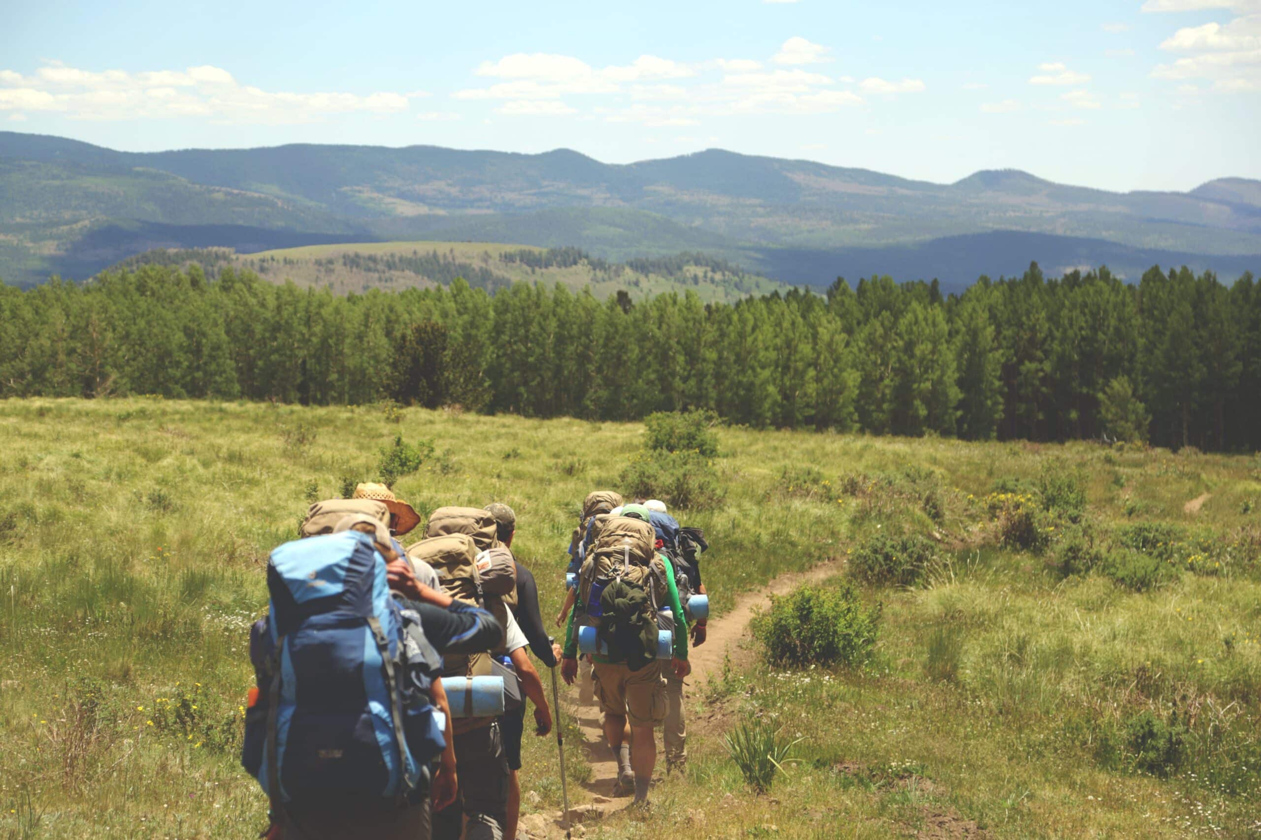 Descubre las Mejores Rutas de Senderismo en Font-Calent: ¡Explora la Naturaleza como Nunca Antes!