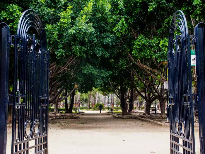 el parque de la Alquenencia