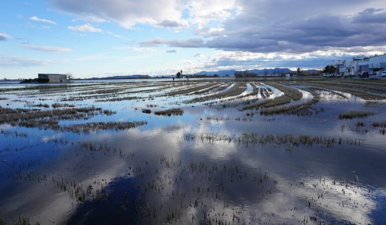 albufera-perellona