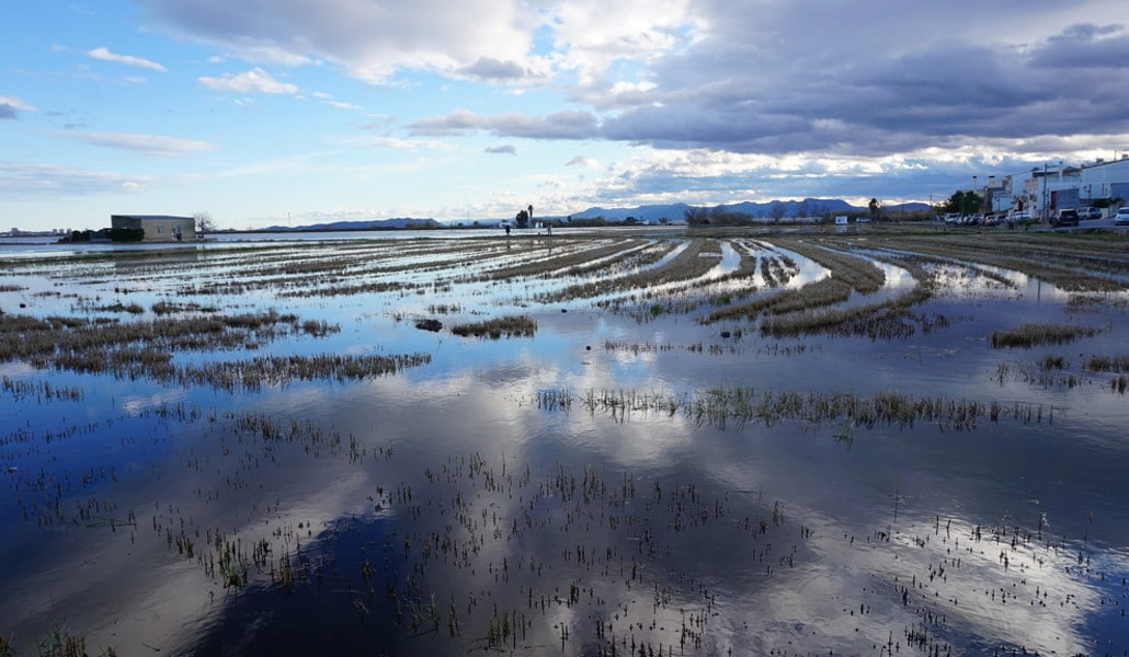 albufera-perellona