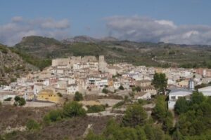 Alcocer