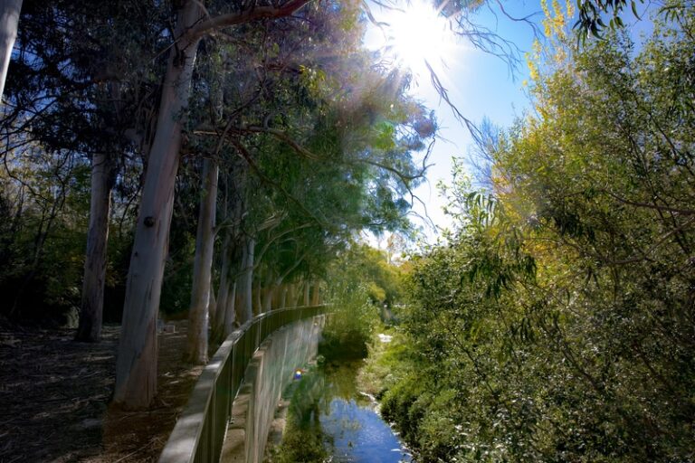 alto-de-palencia-1