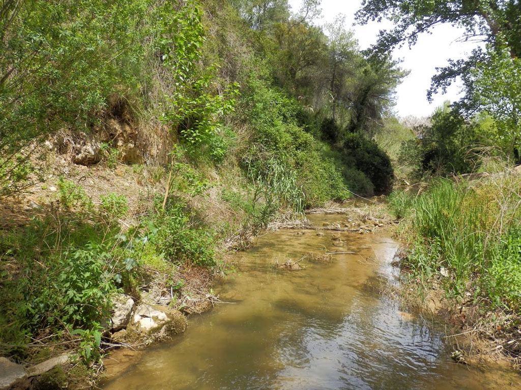 Ruta del Barranco del Barcal Navarres | Experiences Valencia