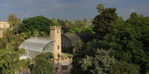 Jardin Botanico Universidad de Valencia