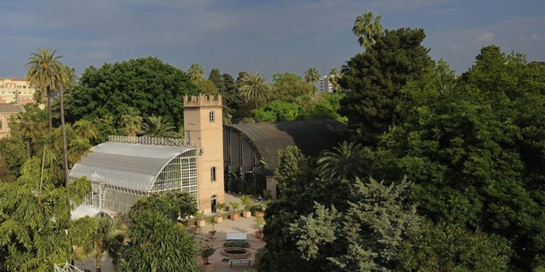 Jardin Botanico Universidad de Valencia