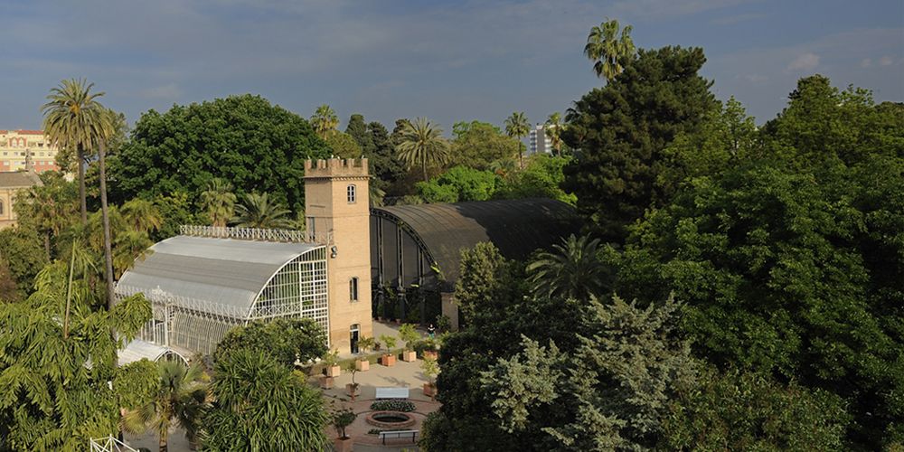 Jardin Botanico Universidad de Valencia