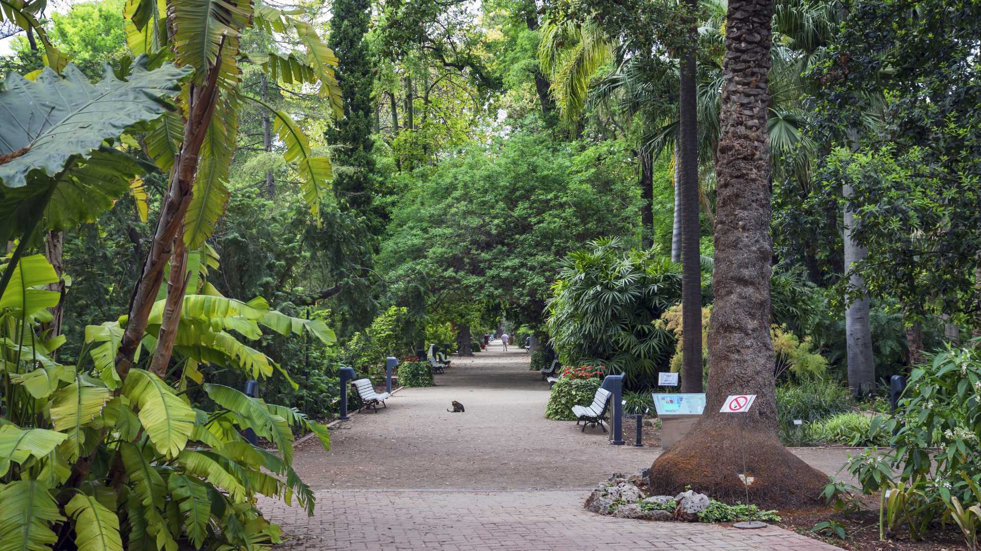 Jardin Botanico Universidad de Valencia