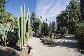 Jardin Botanico Universidad de Valencia