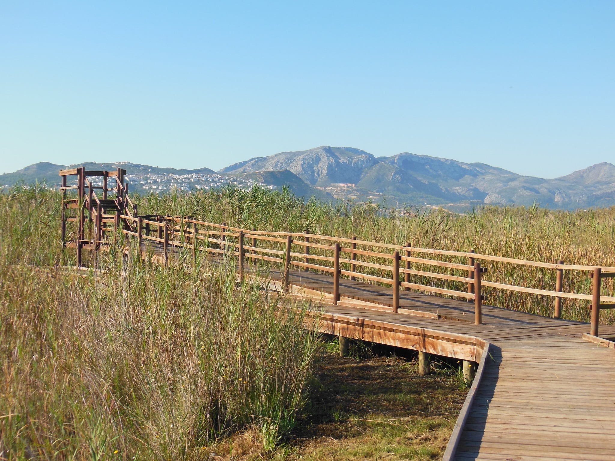 Observatorio de aves, El Bovar